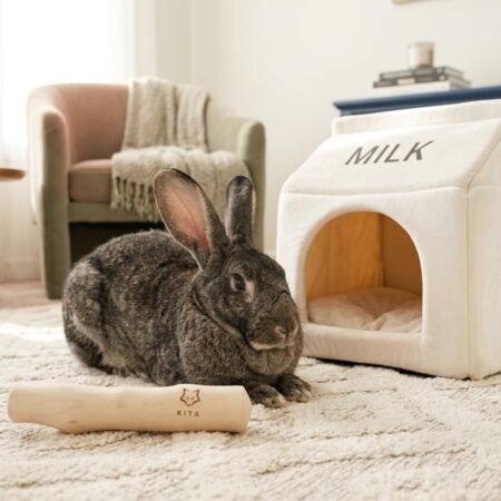 KITA Small Animal Coffee Wood Chew Toy